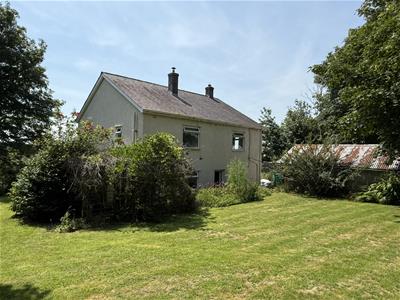 Picture 17